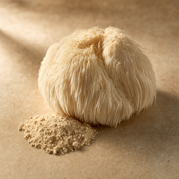 Lion's Mane